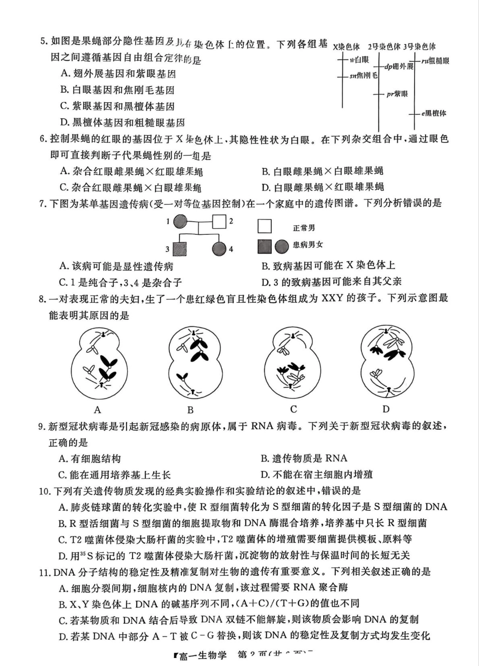 河北省邯郸市2024-2025学年高一下学期4月期中考试 生物 PDF版含解析.pdf_第2页