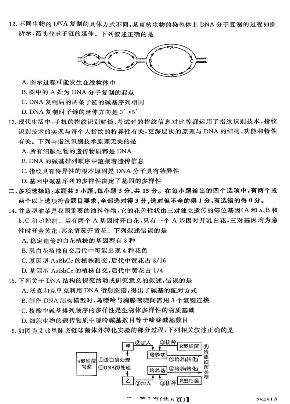 河北省邯郸市2024-2025学年高一下学期4月期中考试 生物 PDF版含解析.pdf_第3页