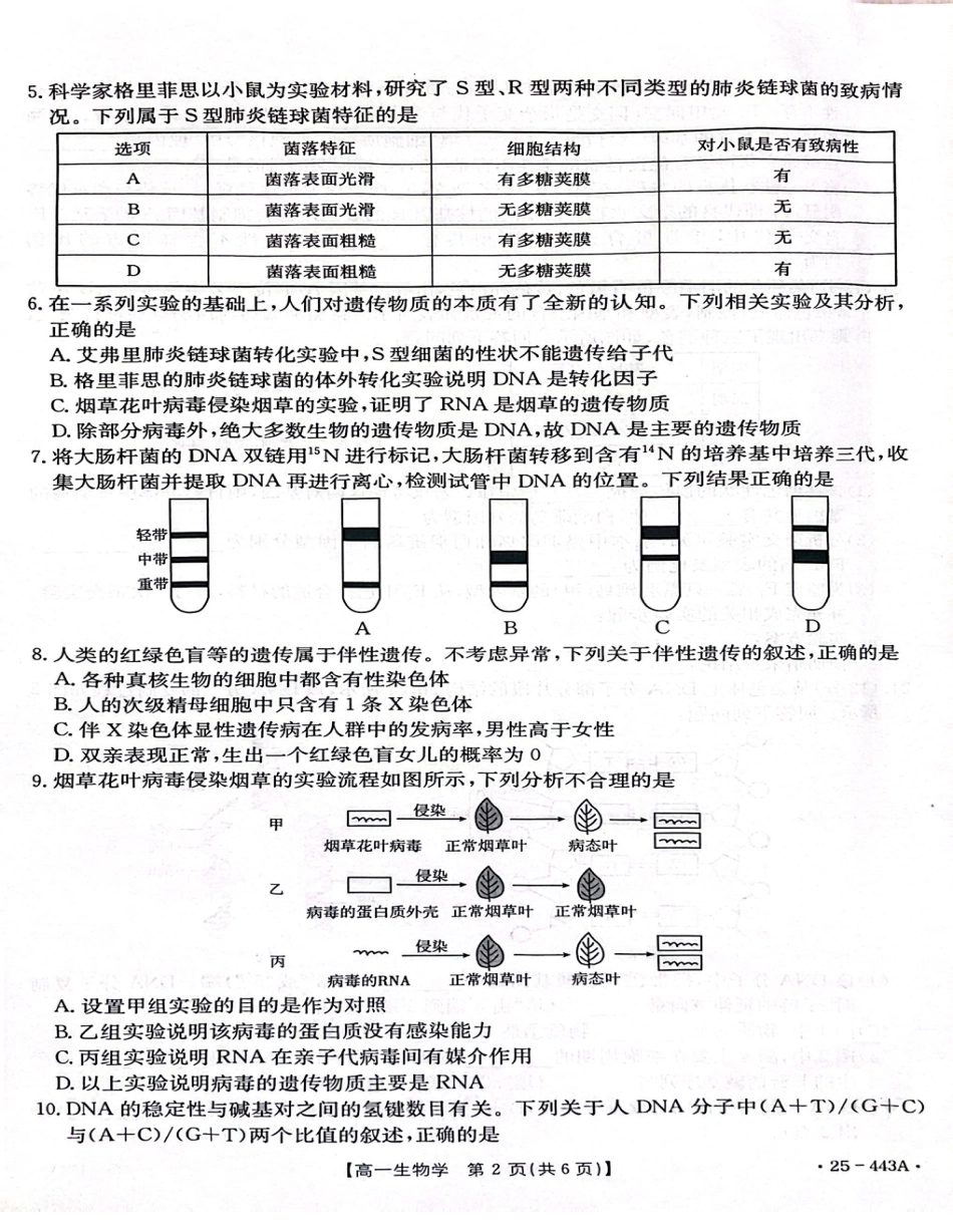 河北省邢台市质检联盟2024-2025学年高一下学期期中生物试卷（扫描版含解析）.pdf_第2页