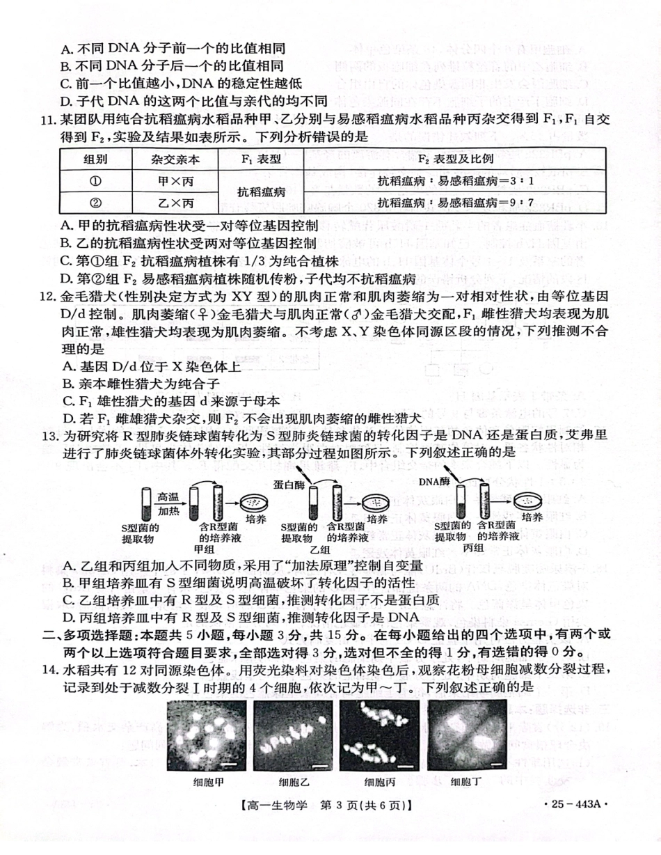 河北省邢台市质检联盟2024-2025学年高一下学期期中生物试卷（扫描版含解析）.pdf_第3页