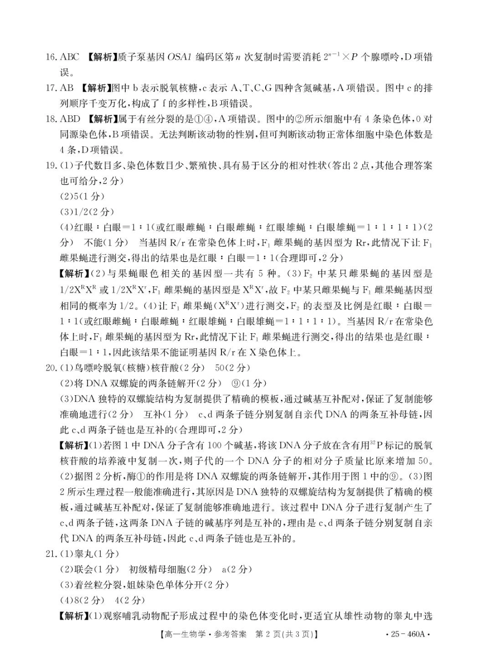 河北省邢台市卓越联盟2024-2025学年高一下学期4月期中生物答案.pdf_第2页