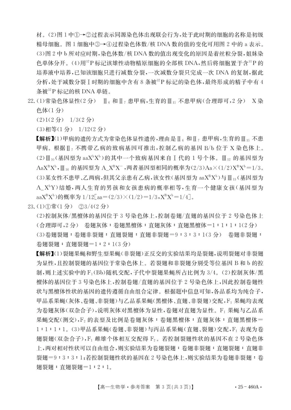河北省邢台市卓越联盟2024-2025学年高一下学期4月期中生物答案.pdf_第3页