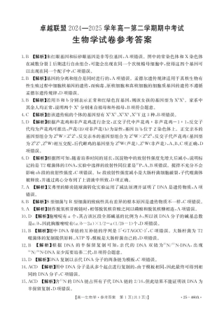 河北省邢台市卓越联盟2024-2025学年高一下学期4月期中生物答案.pdf