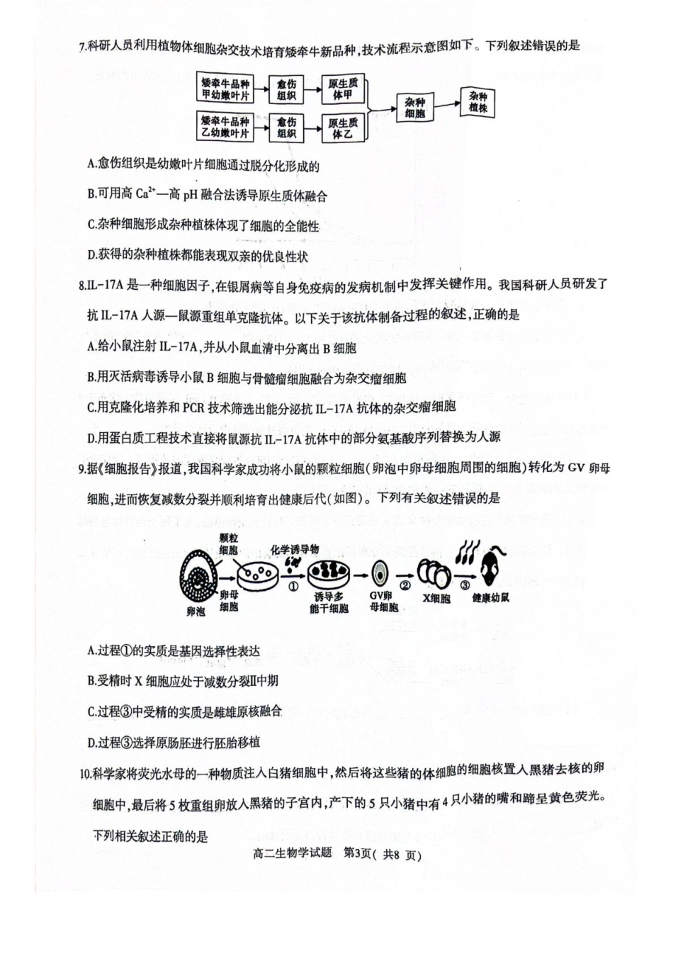 河南省信阳市2024-2025学年高一下学期4月期中考试 生物 PDF版含解析.pdf_第3页
