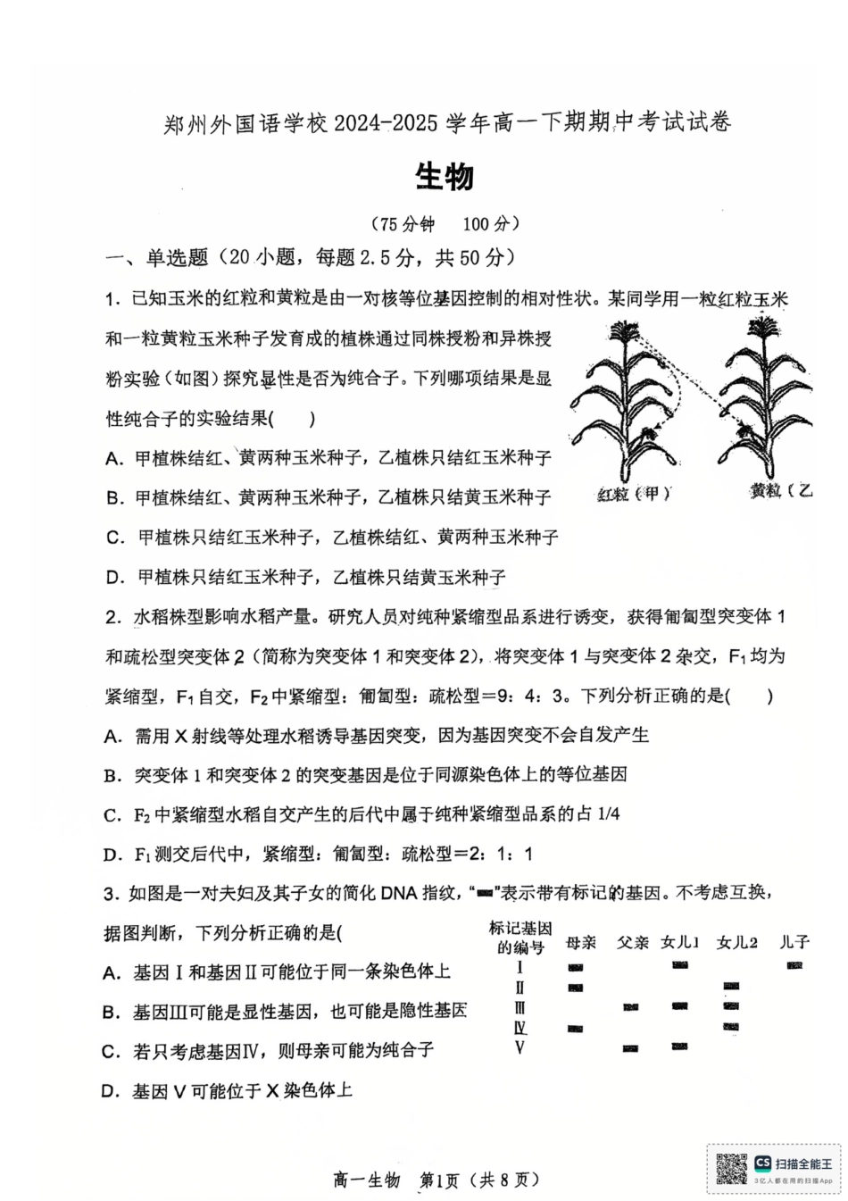 河南省郑州外国语学校2024-2025学年高一下学期期中考试生物试卷.pdf_第1页