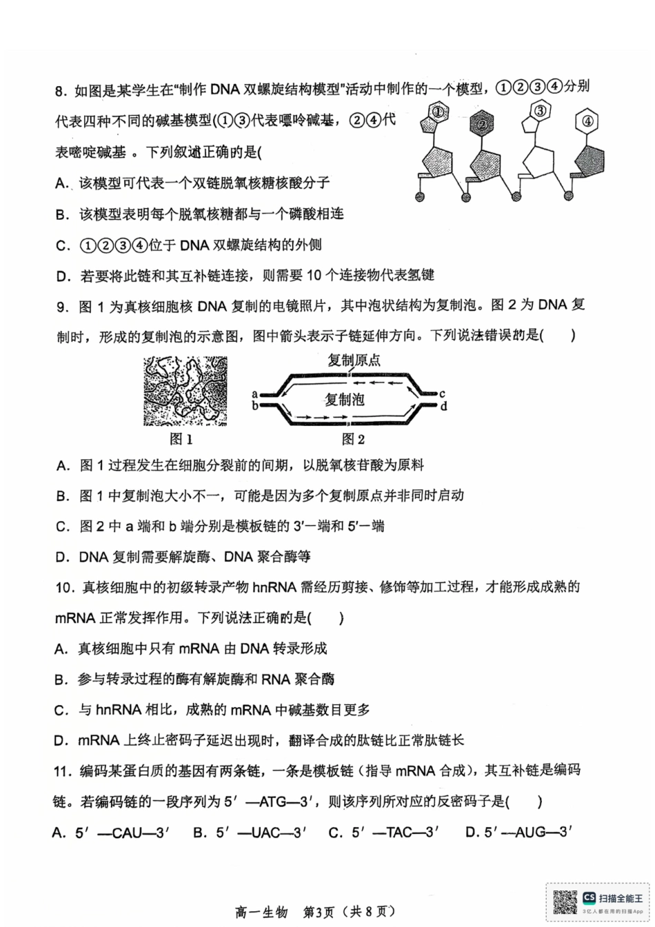 河南省郑州外国语学校2024-2025学年高一下学期期中考试生物试卷.pdf_第3页