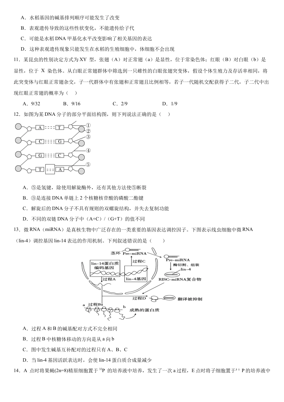 河南省驻马店市新蔡县第一高级中学2024-2025学年高一下学期5月半月考生物试卷（有答案）.docx_第3页