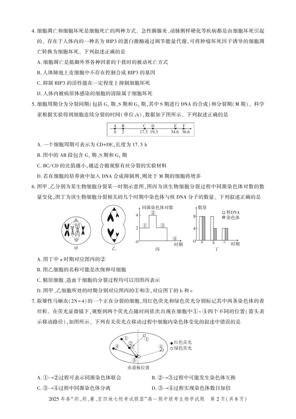 湖北省“荆、荆、襄、宜四地七校考试联盟2024-2025学年”高一下学期期中联考生物学试卷（PDF版，含答案）_高一期中联考-生物试卷.pdf_第2页