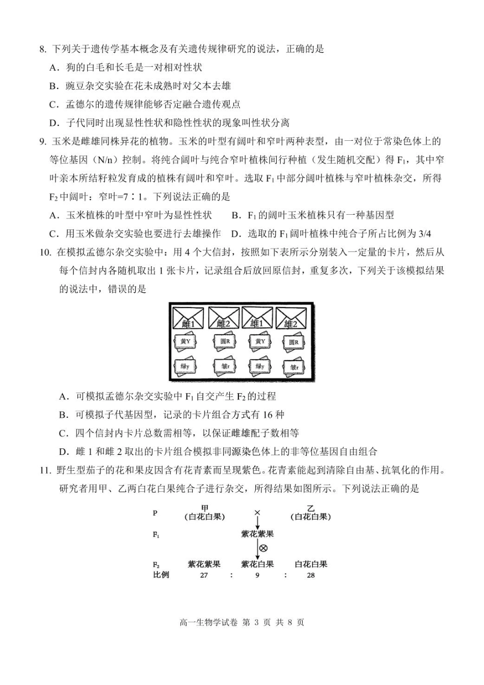 湖北省武汉市部分省级示范高中2024-2025学年高一下学期4月期中测试生物试卷 PDF版含答案_高一生物学试卷.pdf_第3页