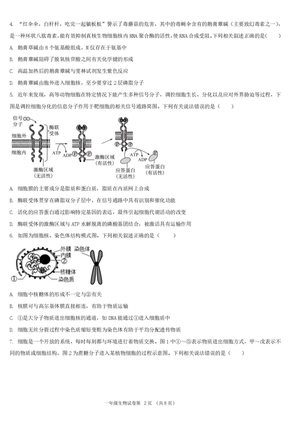 湖北省宜昌市部分省级示范高中2024-2025学年高一下学期4月期中检测生物试题.pdf_第2页