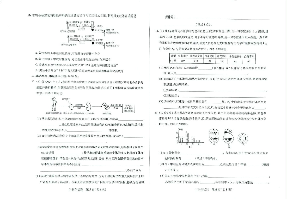 湖南省湘一名校联盟2024-2025学年高一下学期4月期中联考生物试题 扫描版无答案.pdf_第3页