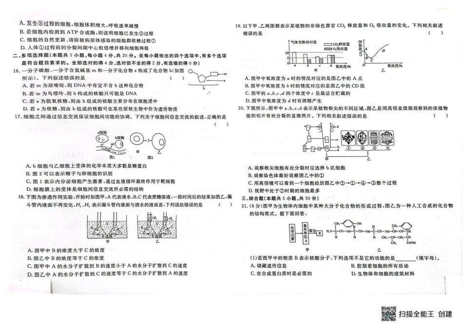 江西省赣州市大余县部分学校联考2024-2025学年高一下学期4月期中生物试题（扫描版，含答案）_高一生物 高一生物.pdf_第3页