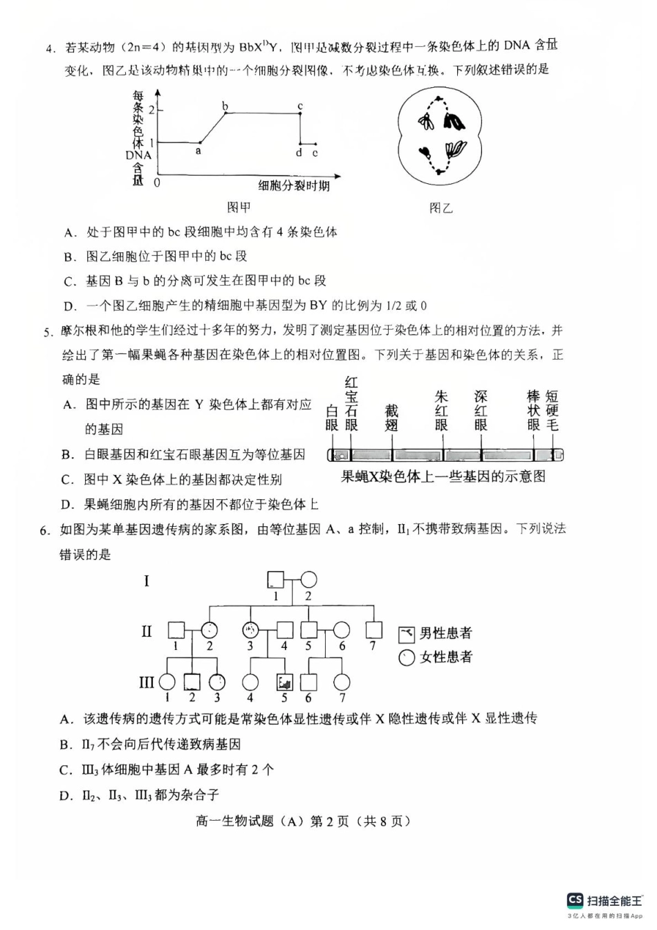 山东省菏泽市2024-2025学年高一下学期期中考试生物试题（A）（扫描版，含答案）.pdf_第2页