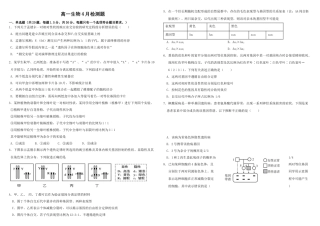 山东省威海市乳山市银滩高级中学2024-2025学年高一下学期4月月考生物试题（有答案）.docx