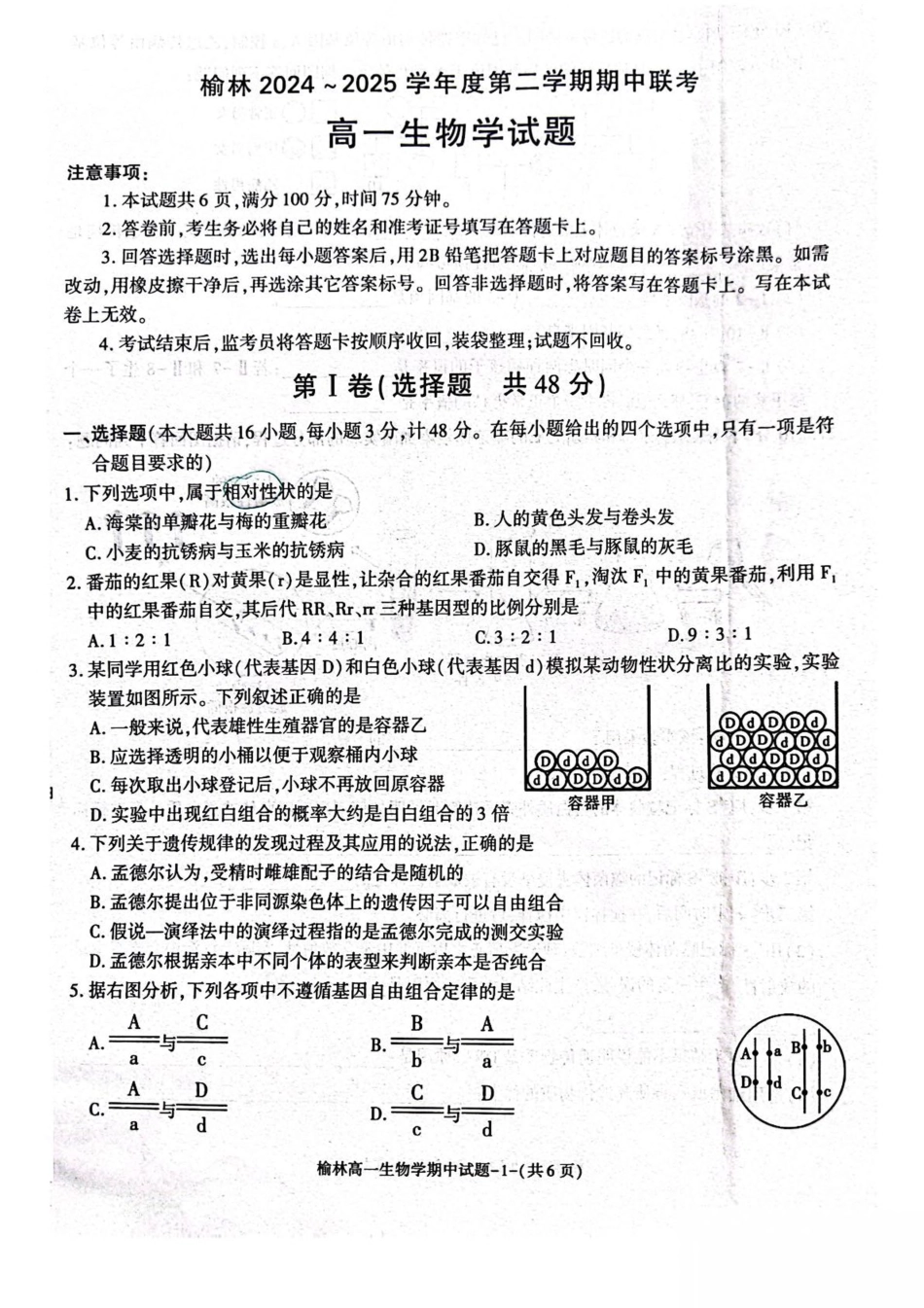 陕西省榆林市2024-2025学年高一下学期期中联考试题 生物 PDF版含答案.pdf_第1页