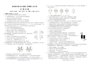 四川省南充市高级中学2024-2025学年高一下学期5月月考试题  生物  PDF版含答案（可编辑）_2024级第二次月考试生 物 试 题.pdf