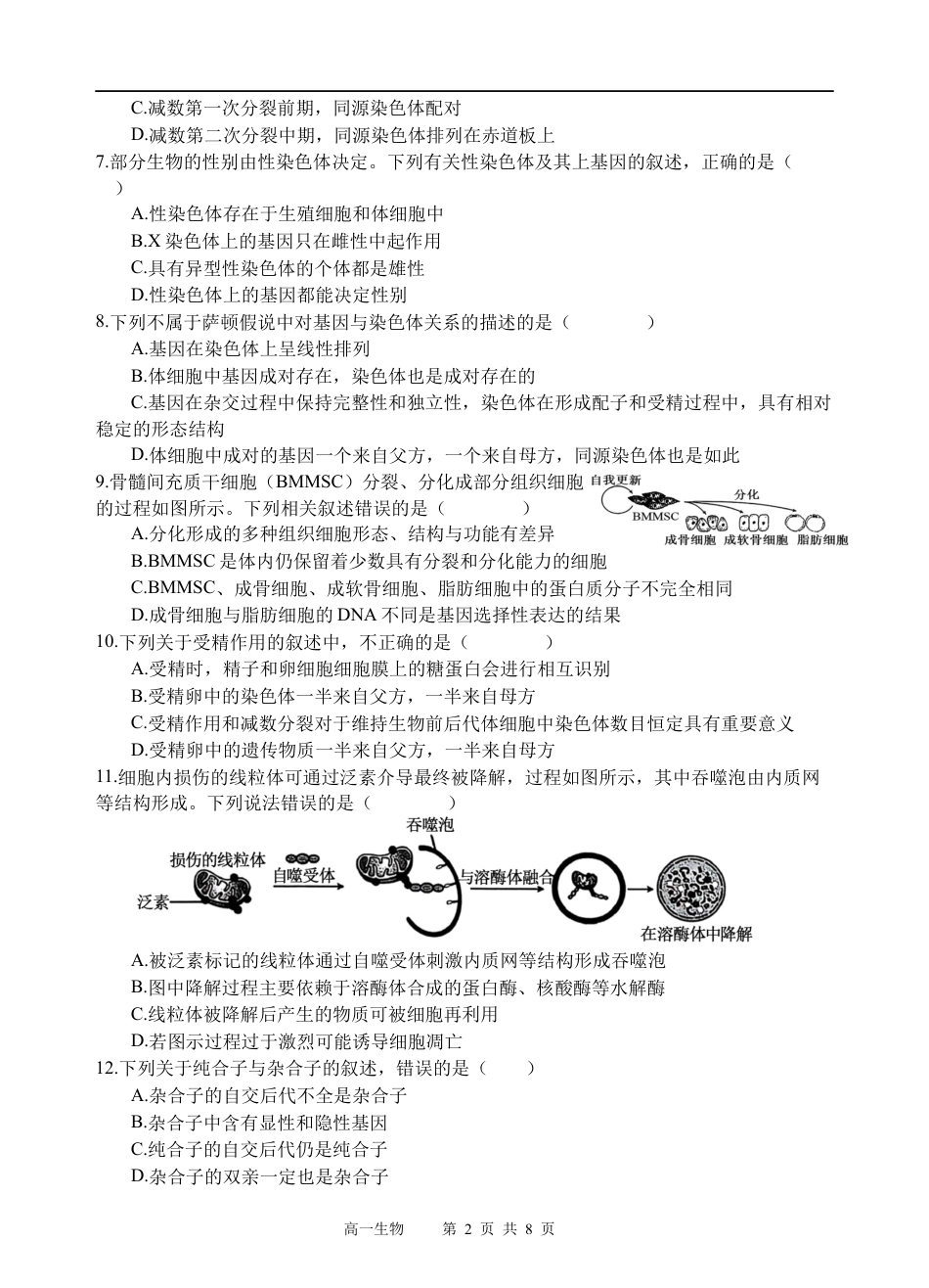 四川省遂宁市射洪中学2024-2025学年高一下学期期中考试生物试题（含答案）_生物试题.docx_第2页