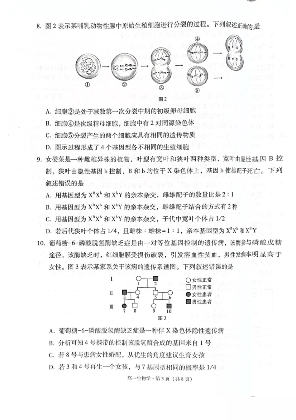 云南省保山市2024-2025学年高一下学期4月期中考试 生物 PDF版含解析.pdf_第3页