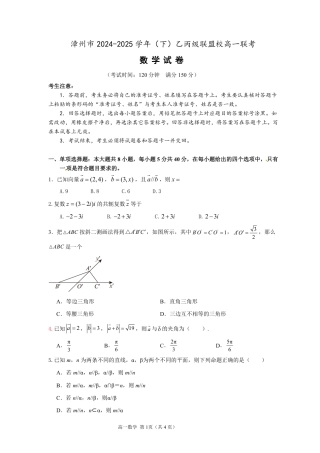 漳州市2024-2025学年（下）乙丙级联盟校高一联考(数学试卷).pdf