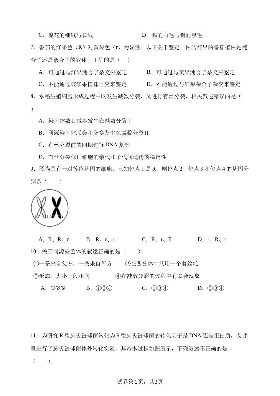 玉溪一中2024—2025学年下学期高一年级期中生物学科试卷.docx_第2页