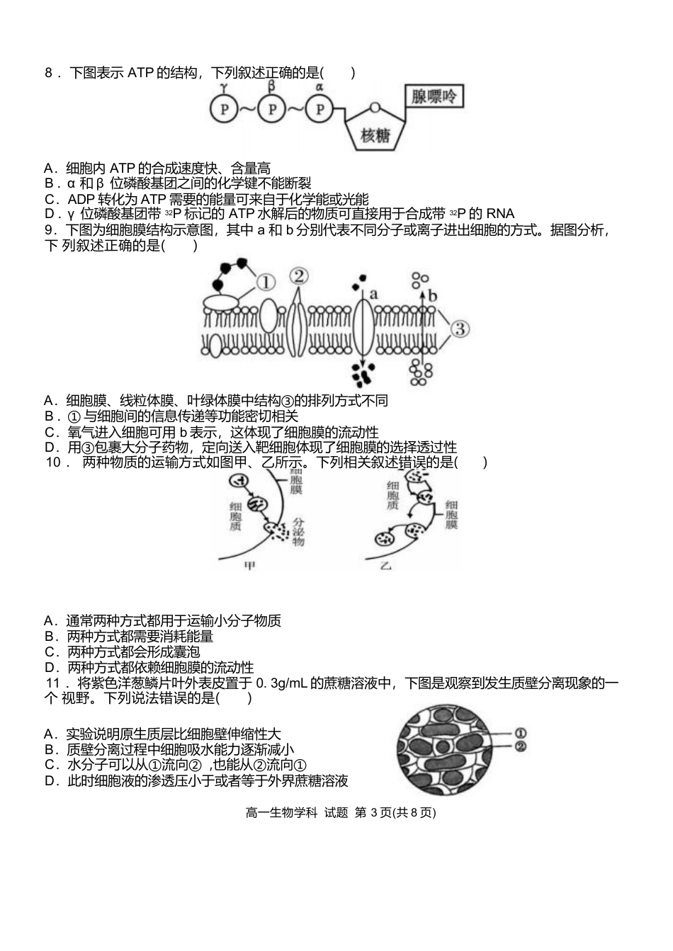 浙江省温州新力量联盟2024-2025学年高一下学期4月期中联考生物试卷.docx_第3页