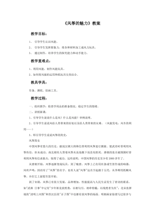 人教版小学美术五年级教案-《风筝的魅力》教案(1).doc