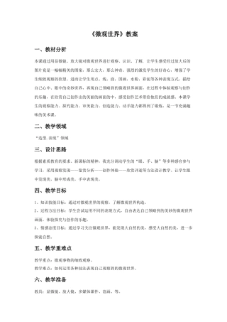 人教版小学美术五年级教案-《微观世界》教案03.doc