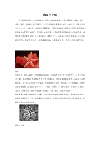 人教版小学美术五年级教案-海星的介绍.doc