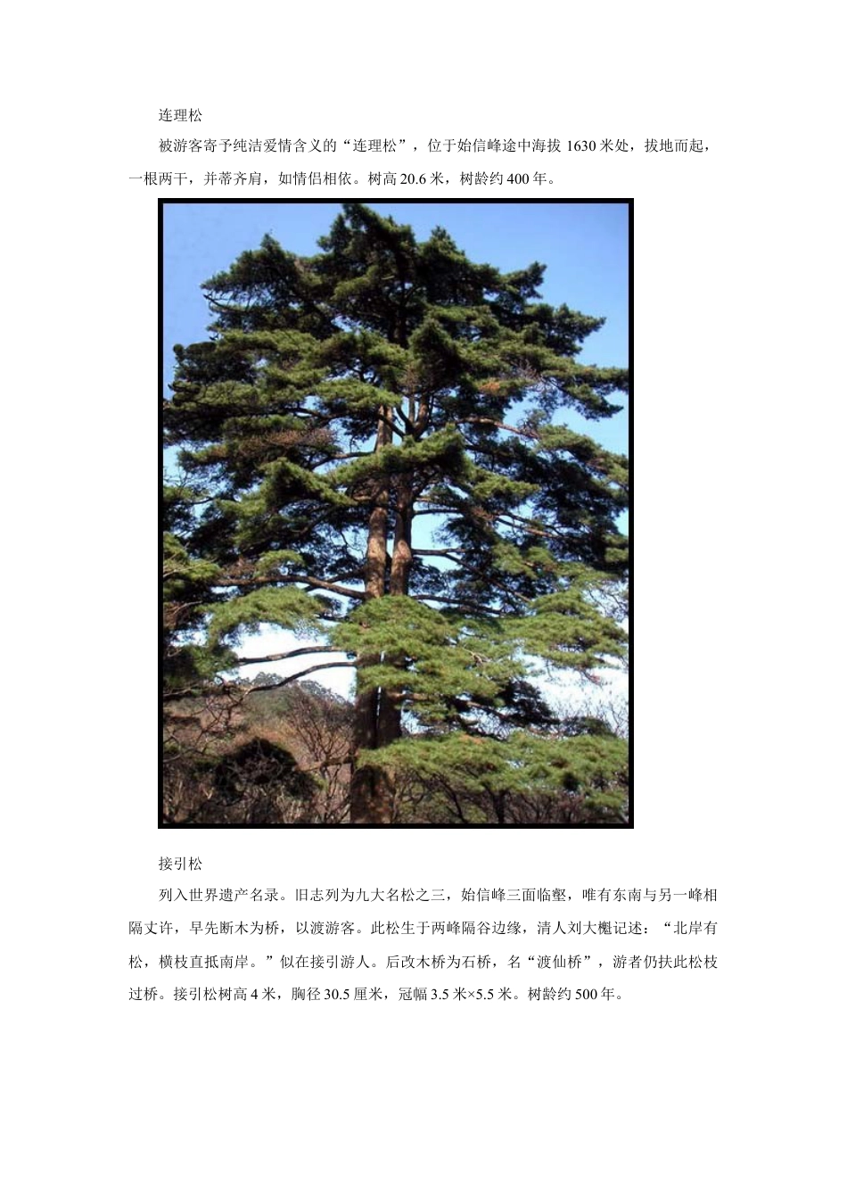 人教版小学美术五年级教案-黄山十大名松.doc_第3页