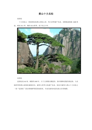 人教版小学美术五年级教案-黄山十大名松.doc