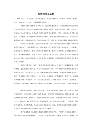 人教版小学美术五年级教案-松树及常见品种.doc