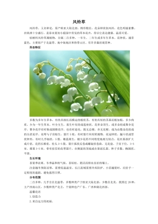 人教版小学美术一年级教案-风铃草.doc