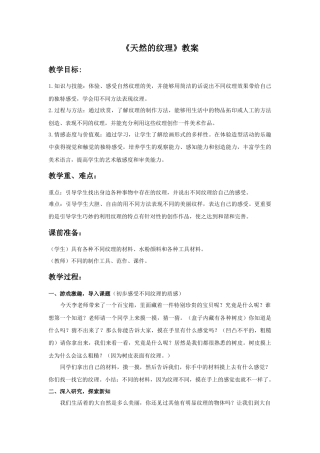 人教版小学美术三年级教案-《天然的纹理》教案.doc