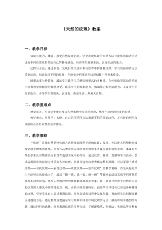 人教版小学美术三年级教案-《天然的纹理》教案1.doc