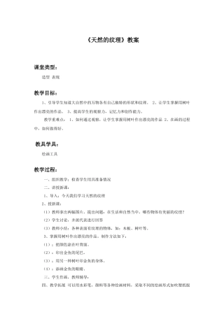 人教版小学美术三年级教案-《天然的纹理》教案2.doc