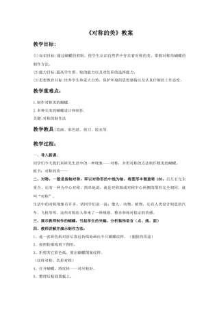 人教版小学美术四年级教案-《对称的美》教案2.doc