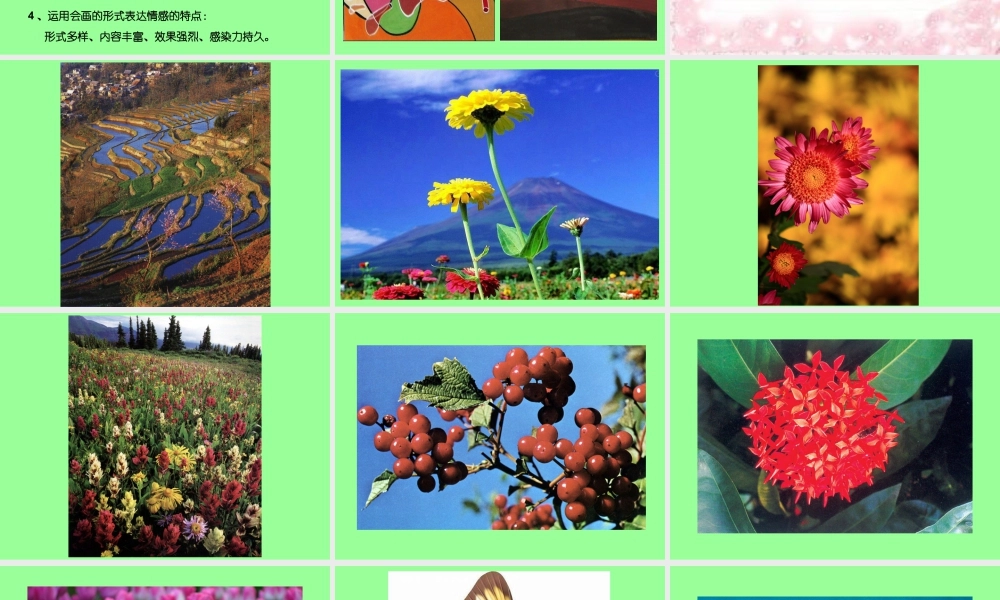 人教版四年级小学美术课件-《色彩的情感》课件2.ppt