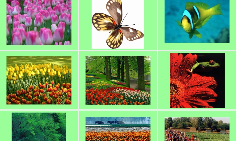 人教版四年级小学美术课件-《色彩的情感》课件2.ppt