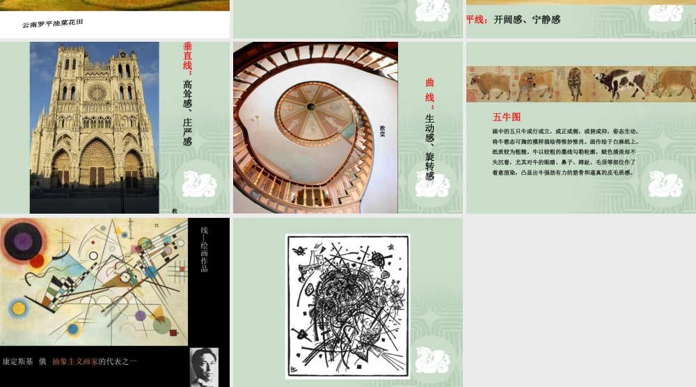 人教版四年级小学美术课件-《生活中的线条》课件.ppt