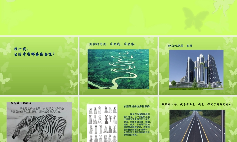人教版四年级小学美术课件-《生活中的线条》课件1.ppt