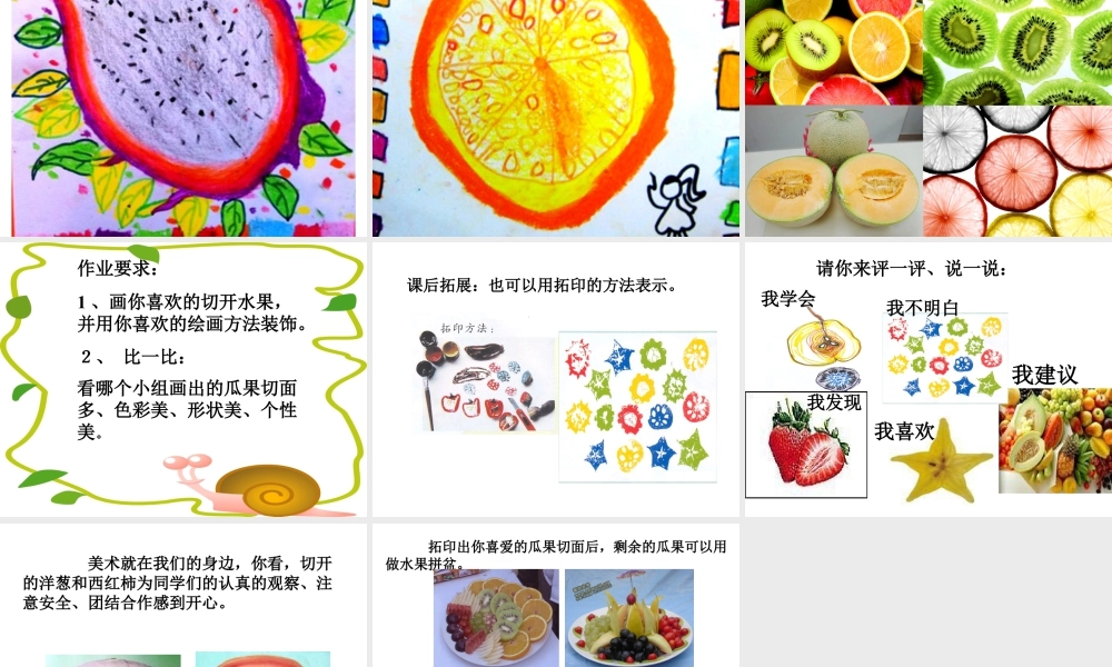 人教版四年级小学美术课件-《蔬果剖面》课件.ppt