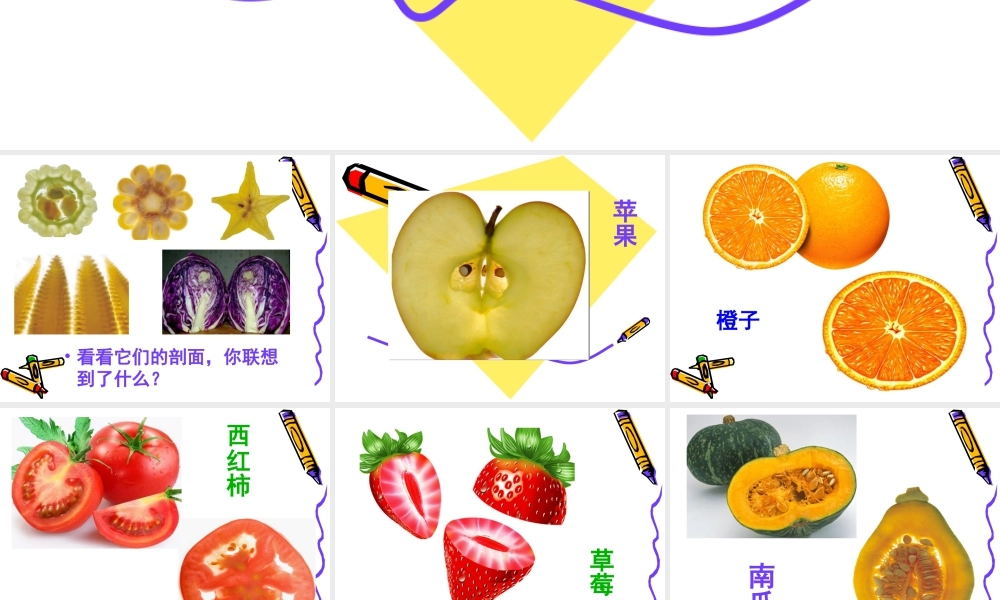 人教版四年级小学美术课件-《蔬果剖面》课件1.ppt
