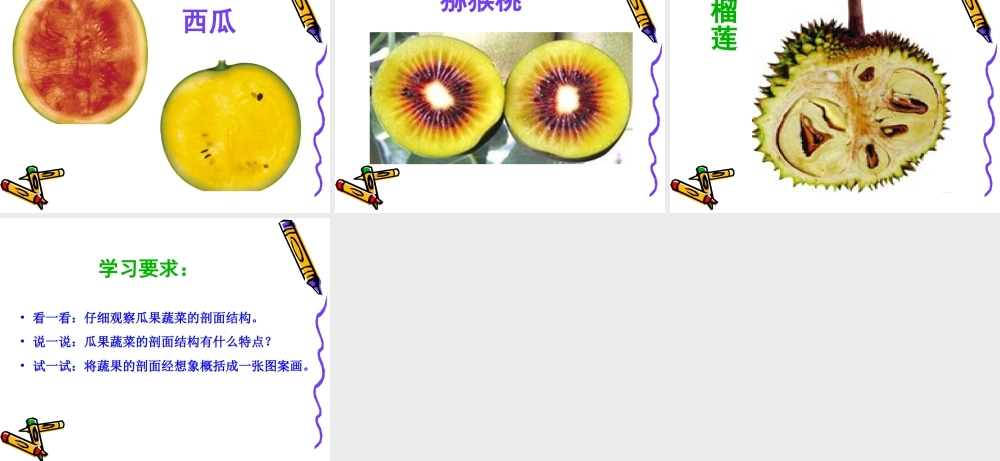 人教版四年级小学美术课件-《蔬果剖面》课件1.ppt