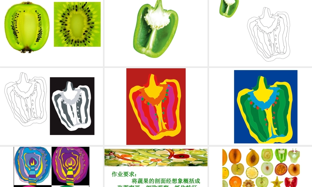 人教版四年级小学美术课件-《蔬果剖面》课件2.ppt