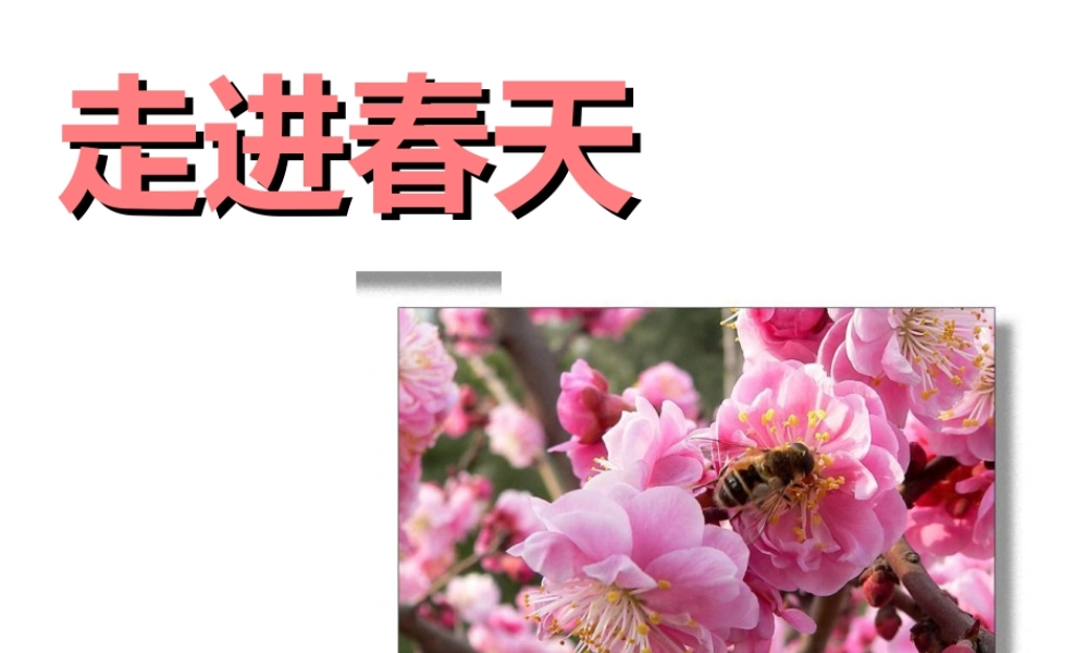 人教版四年级小学美术课件-《走进春天》课件.ppt