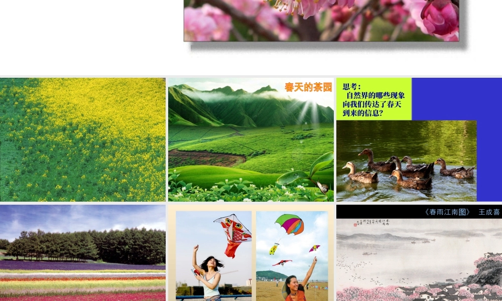 人教版四年级小学美术课件-《走进春天》课件.ppt