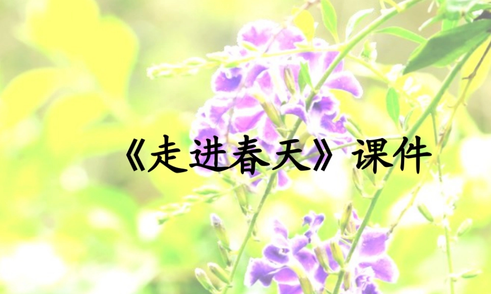 人教版四年级小学美术课件-《走进春天》课件1.ppt