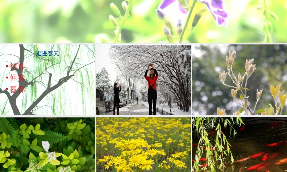 人教版四年级小学美术课件-《走进春天》课件1.ppt