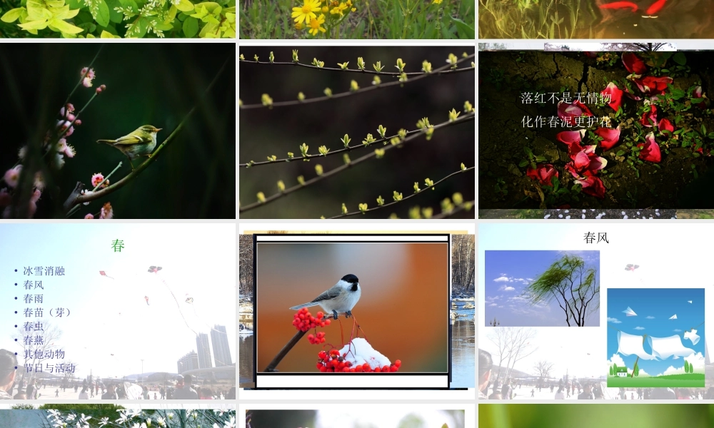 人教版四年级小学美术课件-《走进春天》课件1.ppt