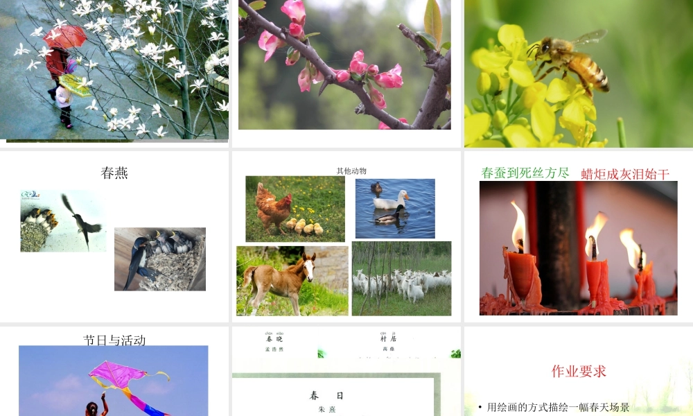 人教版四年级小学美术课件-《走进春天》课件1.ppt